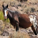 learninghoovess avatar