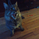 learntofeelagain avatar