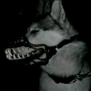 leashreactive avatar