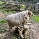 leave-me-to-dehydrate avatar