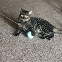 leavemealoneimcreatingcontent avatar