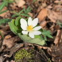 leavemeinyourpast avatar