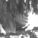 leavemetfalone avatar