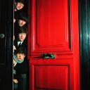 leavesontreessoftlysighin avatar