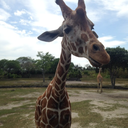 leavingmydaydream avatar