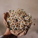 leavingthistown avatar