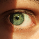 lebenimlimbus avatar