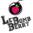 leberrybomb-blog avatar