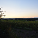 lebossassbitch avatar