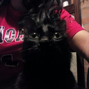 lechugapagana avatar