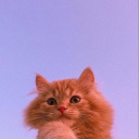 lectoradelavida avatar