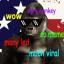 led-monkey-viral-blog avatar