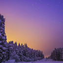 ledhomeonhigh avatar