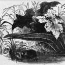 leechtherapist avatar