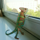 leeknow888888 avatar