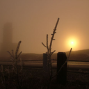 leeminhosnoona avatar