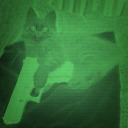 leere-persoenlichkeit avatar