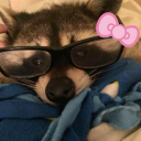 left-in-somewhere avatar