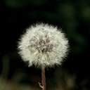 left-way-blog-blog avatar