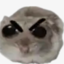 leftlovedreamer avatar