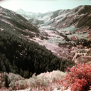 leftofleftovers avatar