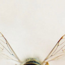 leftover-starlight avatar