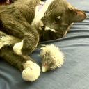 legacyofthorns avatar