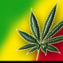 legalizaa avatar