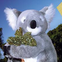 legalizekoalas avatar