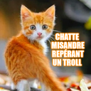 legangmisandre avatar