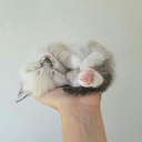 legata-al-passato avatar