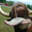 legen-wait-for-it---dary avatar