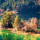 legendarrow34 avatar