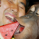 legendarydong avatar