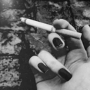 legendaryexpertgardentrash-blog avatar