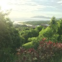 legendarynightowl avatar