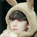 legendofmingi avatar