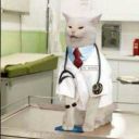 legohippo-blog avatar