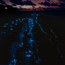 leidygallegoblr avatar