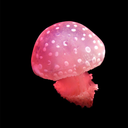 leio-my-eggo-blog avatar