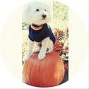 leisureluncheon avatar