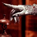 lejardinsauvage avatar