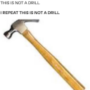 lelyas-unfiltered-sillyness avatar