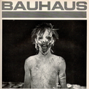 lemadriatroci avatar