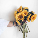 lemme-eat-some-bees avatar