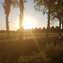 lemme-holla-at-you avatar