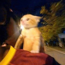 lemon-candy-pearl avatar