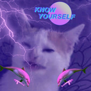 lemonade-trash-blogs avatar