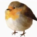 lemonadecuredme avatar