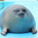 lemoncutiexdsblog avatar